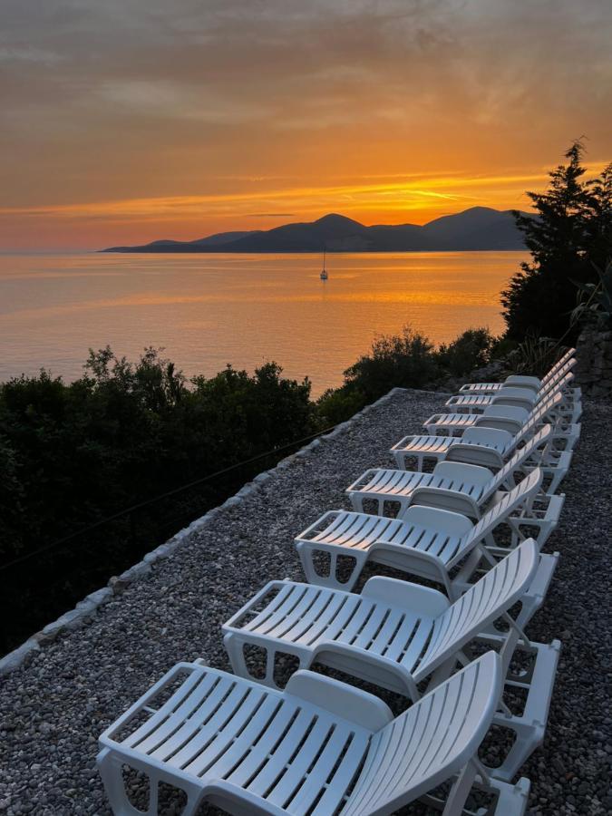 Vilena Apartmani Tivat Bagian luar foto